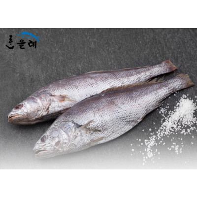 한올레 민어 5마리 (300g/마리)